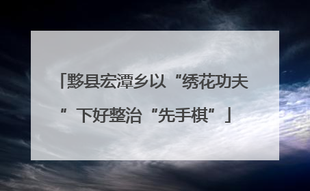 黟县宏潭乡以“绣花功夫”下好整治“先手棋”