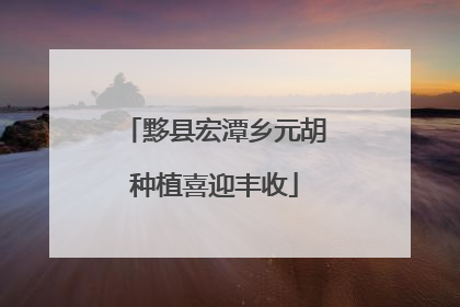 黟县宏潭乡元胡种植喜迎丰收