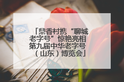 鼎香村携“聊城老字号”惊艳亮相第九届中华老字号（山东）博览会