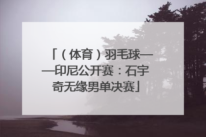 （体育）羽毛球——印尼公开赛：石宇奇无缘男单决赛