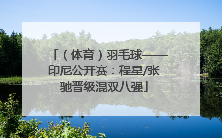 （体育）羽毛球——印尼公开赛：程星/张驰晋级混双八强