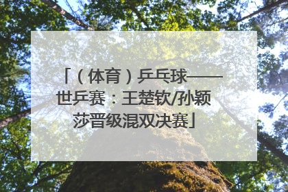 （体育）乒乓球——世乒赛：王楚钦/孙颖莎晋级混双决赛