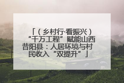 （乡村行·看振兴）“千万工程”赋能山西昔阳县：人居环境与村民收入“双提升”