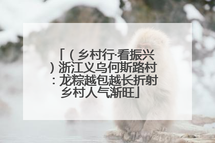 （乡村行·看振兴）浙江义乌何斯路村：龙粽越包越长折射乡村人气渐旺