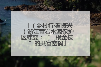 （乡村行·看振兴）浙江黄岩水源保护区蝶变：“一根金枝”的共富密码