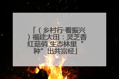（乡村行·看振兴）福建大田：灵芝香红菇俏 生态林里“种”出共富经