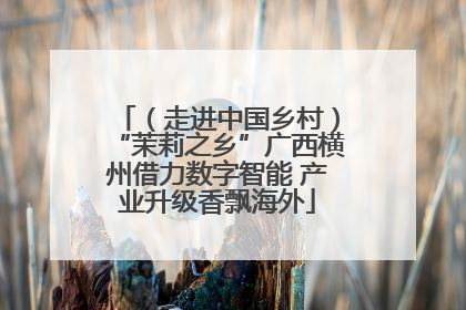 （走进中国乡村）“茉莉之乡”广西横州借力数字智能 产业升级香飘海外