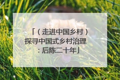 （走进中国乡村）探寻中国式乡村治理：后陈二十年