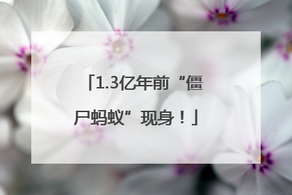 1.3亿年前“僵尸蚂蚁”现身！
