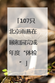 107只北京雨燕在颐和园完成年度“体检”