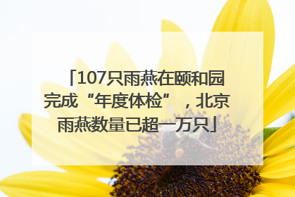 107只雨燕在颐和园完成“年度体检”，北京雨燕数量已超一万只