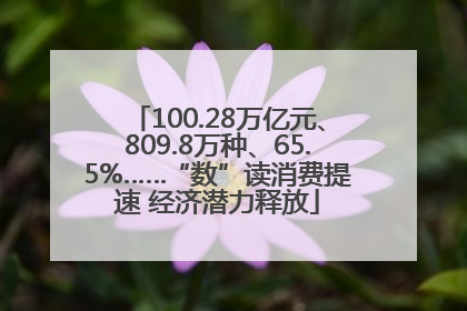 100.28万亿元、809.8万种、65.5%……“数”读消费提速 经济潜力释放