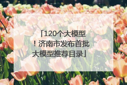 120个大模型！济南市发布首批大模型推荐目录