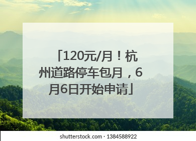 120元/月！杭州道路停车包月，6月6日开始申请