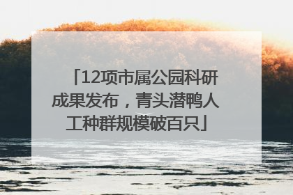 12项市属公园科研成果发布，青头潜鸭人工种群规模破百只