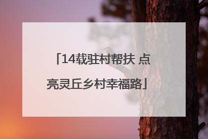 14载驻村帮扶 点亮灵丘乡村幸福路