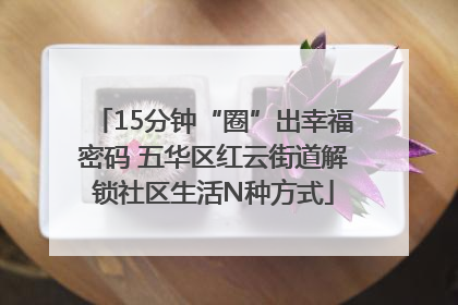 15分钟“圈”出幸福密码 五华区红云街道解锁社区生活N种方式