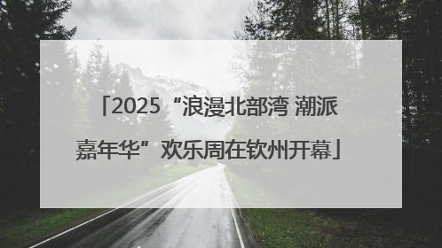 2025“浪漫北部湾 潮派嘉年华”欢乐周在钦州开幕