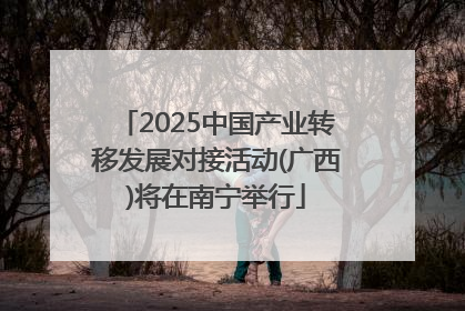 2025中国产业转移发展对接活动(广西)将在南宁举行