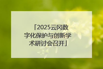 2025云冈数字化保护与创新学术研讨会召开
