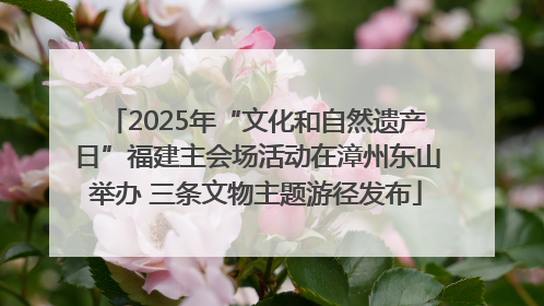 2025年“文化和自然遗产日”福建主会场活动在漳州东山举办 三条文物主题游径发布