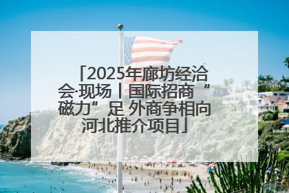 2025年廊坊经洽会·现场丨国际招商“磁力”足 外商争相向河北推介项目