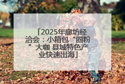 2025年廊坊经洽会：小箱包“圈粉”大咖 县域特色产业快速出海