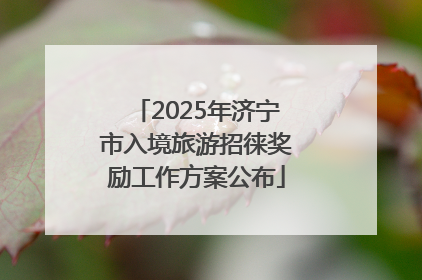 2025年济宁市入境旅游招徕奖励工作方案公布