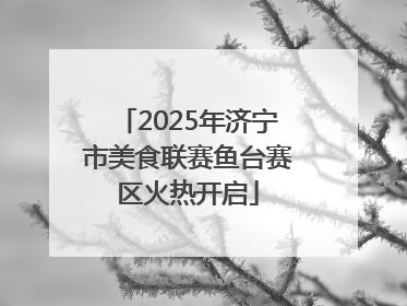 2025年济宁市美食联赛鱼台赛区火热开启