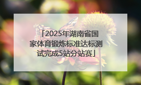 2025年湖南省国家体育锻炼标准达标测试完成5站分站赛