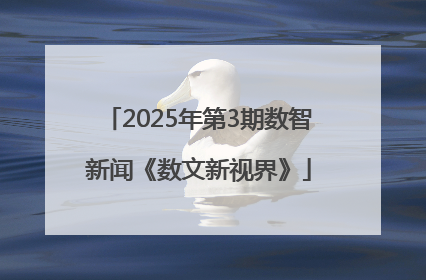 2025年第3期数智新闻《数文新视界》