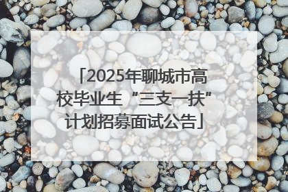 2025年聊城市高校毕业生“三支一扶”计划招募面试公告