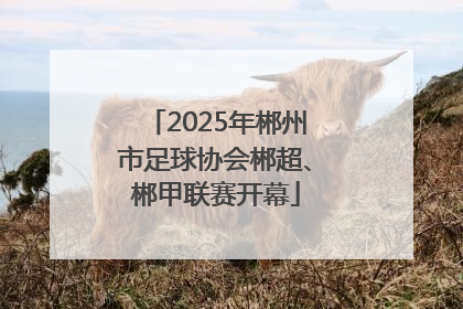 2025年郴州市足球协会郴超、郴甲联赛开幕