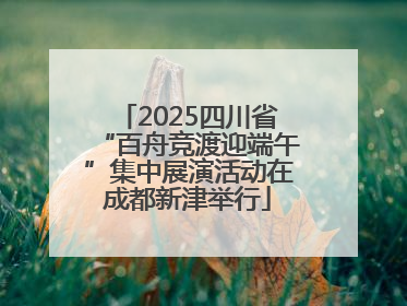 2025四川省“百舟竞渡迎端午”集中展演活动在成都新津举行