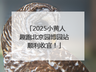 2025小黄人趣跑北京园博园站顺利收官！