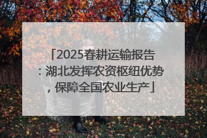 2025春耕运输报告：湖北发挥农资枢纽优势，保障全国农业生产