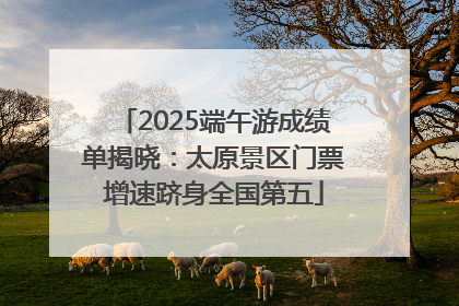 2025端午游成绩单揭晓：太原景区门票增速跻身全国第五