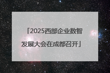 2025西部企业数智发展大会在成都召开