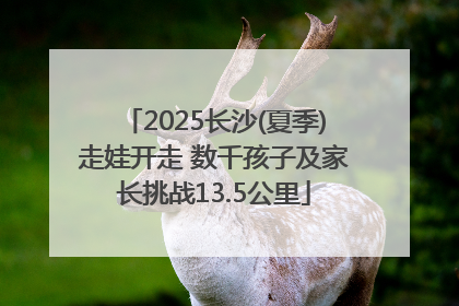 2025长沙(夏季)走娃开走 数千孩子及家长挑战13.5公里