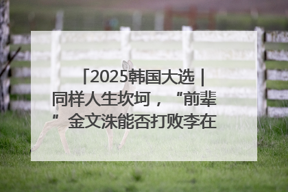 2025韩国大选｜同样人生坎坷，“前辈”金文洙能否打败李在明“逆风翻盘”？