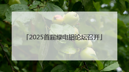 2025首届绿电铝论坛召开