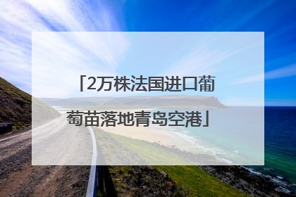 2万株法国进口葡萄苗落地青岛空港