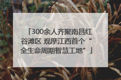 300余人齐聚南昌红谷滩区 观摩江西首个“全生命周期智慧工地”