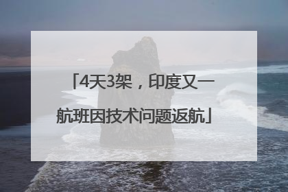 4天3架，印度又一航班因技术问题返航