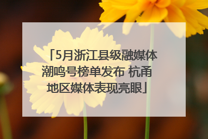 5月浙江县级融媒体潮鸣号榜单发布 杭甬地区媒体表现亮眼