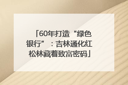 60年打造“绿色银行”：吉林通化红松林藏着致富密码