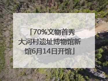 70%文物首秀 大河村遗址博物馆新馆6月14日开馆