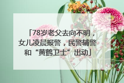 78岁老父去向不明，女儿凌晨报警，民警辅警和“黄鹤卫士”出动