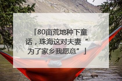 80亩荒地种下童话，珠海这对夫妻“为了家乡我愿意”