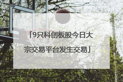 9只科创板股今日大宗交易平台发生交易